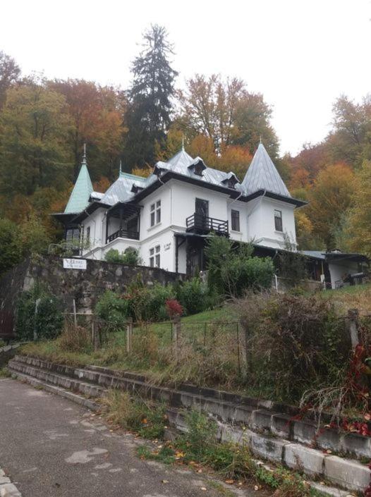 Il Piccolo Castello Busteni Exterior photo